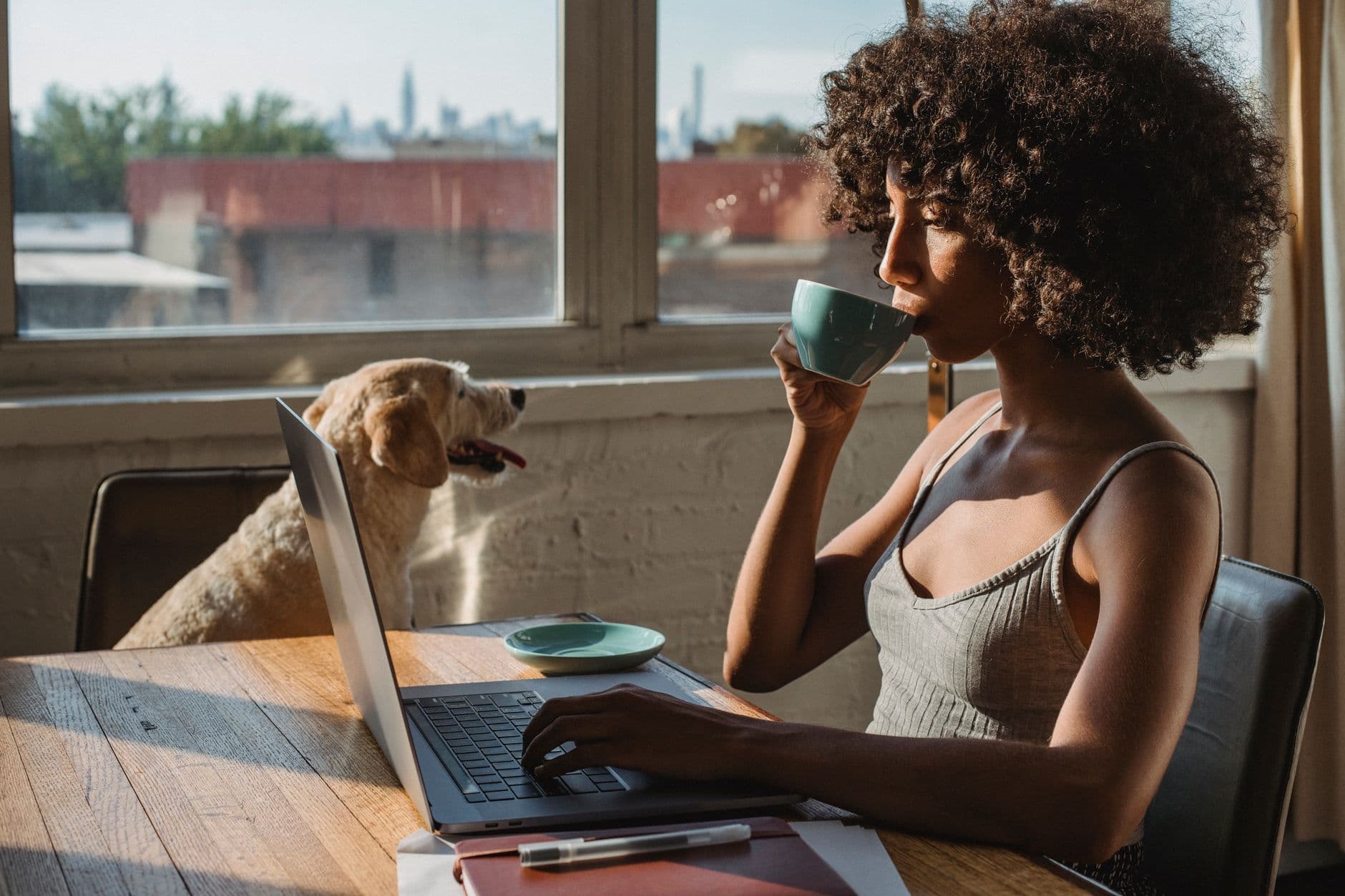 Health Insurance for the Self-Employed: A Practical 2026 Guide
